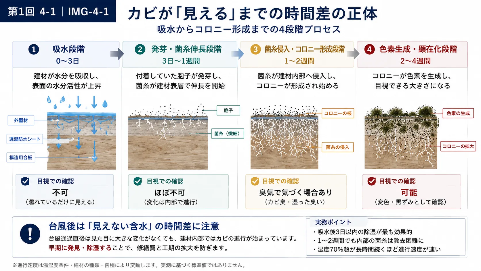 台風とカビ 2/3