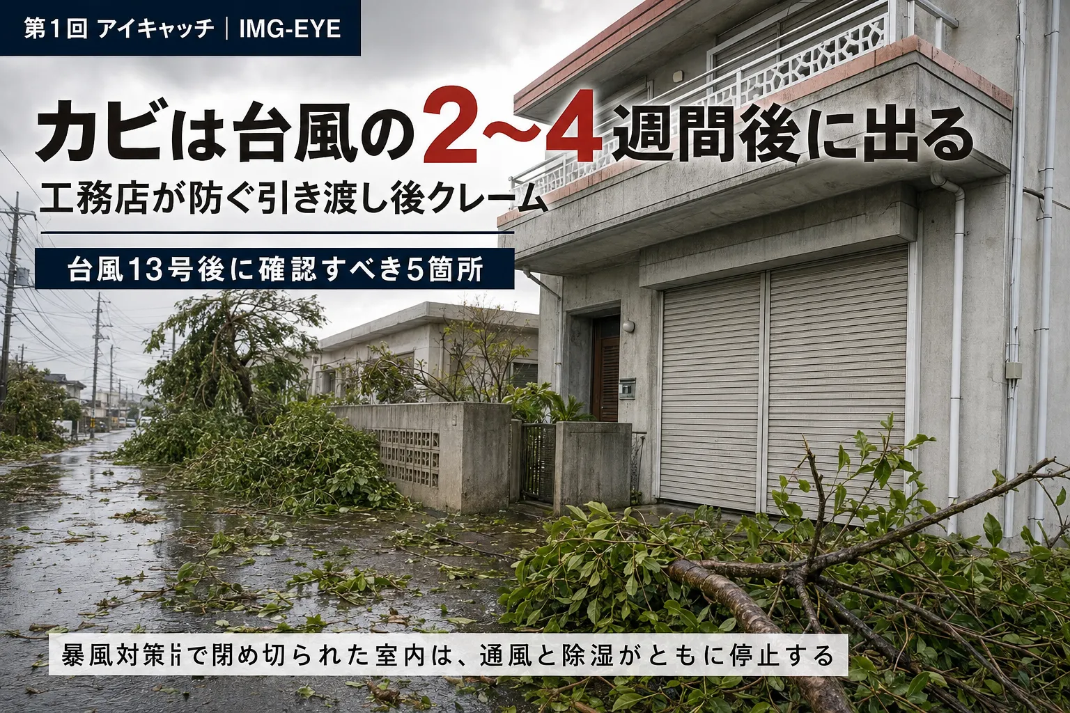 台風とカビ 1/3
